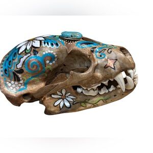 American Badger skull handpainted art skeletons  turquoise OOAK home decor